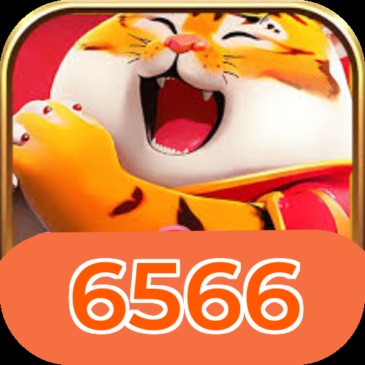 6566