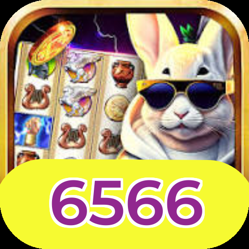 6566